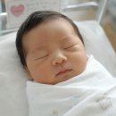 손수담떡공방 | 염팡이의 26년 6월 일상.zip