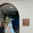 상주중학교 | 강남 아르베 웨딩홀 투어 후기 단독홀 27년 견적 공유