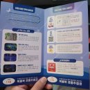 정읍사 문화공원 | 정읍 야밤 투어 다녀왔어요🌙｜정읍사문화공원, 솔티생태숲, 정읍천 미로분수, 달빛 사랑숲, 버블매직까지!