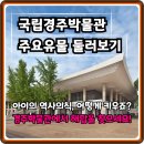 살아있는역사신나는논술 | 역사 싫어하는 아이도 '푹'! 경주박물관 초등 역사 도슨트, 교과연계+구매자 극찬!