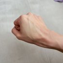 블루디어