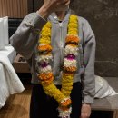 2981 | ✈️ 델리↔뭄바이 - 에어인디아 AI2981 탑승 후기