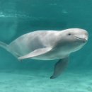 녹색유통연합 이미지