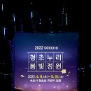 봄빛정원