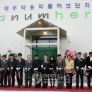 나눔한방허브 이미지