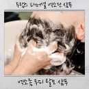 두랩스 교보 | 두피샴푸 추천 두랩스교보 엑소좀 샴푸, 탈모관리 시작한 리얼 두피케어 후기