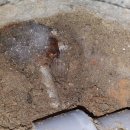 경기도 수원시 권선구 구운중로31번길 23 이미지