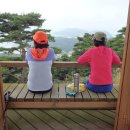 이작도·승봉도 티스토리