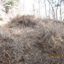 신동초교 이미지