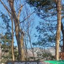 광덕쉼터 공중화장실 이미지