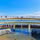 해돋이공원(관리사무소) | 포항 여행 코스 당일치기 가볼만한곳, 환호공원 식물원 스페이스 워크 정령술사