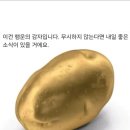 행운 이미지