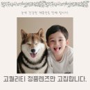 마음,안경원 이미지