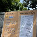 신동행정복지센터 건너편 장수돌침대 앞 | [축제] 2025 성북세계음식축제 누리마실 17회차 다녀온 후기 (5/18), 지역문화축제