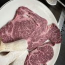 알펜시아스크린골프 이미지