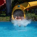 청룡카랜드 이미지