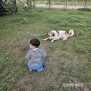 도원징기스칸 | [3살 아기랑]7박 8일 몽골여행_ 6일차(테를지, 테를지 마운틴 롯지, 징기스칸 동상)