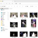 11500-13-40-101 | 로터스101 본식스냅 베넷스튜디오 보정본 대만족 후기 짝꿍코드 공유