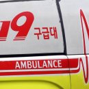 119 이미지