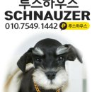 루스켄넬 이미지