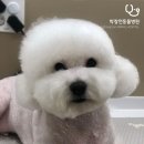 박창언 동물병원 이미지