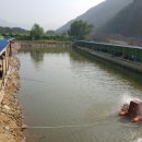 무태낚시터 이미지