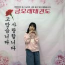 금모래 태권도장 이미지