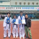 금빛태권도 이미지