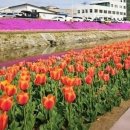 양지천2 이미지