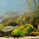 성심 행정사 사무소 이미지