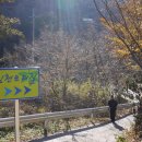 수도녹색숲모티길 이미지