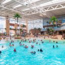 롯데워터파크 이미지