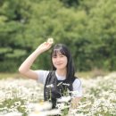 모먼트하풀