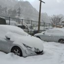 구)울릉중학교 이미지