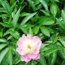 세븐일레븐(창원외동점) 이미지