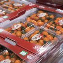 안성 농산물산지유통센터 이미지