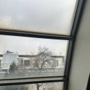 신라스테이  제주 | [251210] 제주여행1. 맛 찾아 맛 따라 제주🗿🍊(신라스테이 제주 후기)