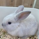 와우펫앤쥬(기장점) 이미지