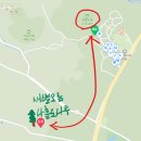 제주 사계리 용머리 화산쇄설층 이미지