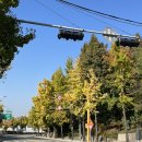 동판교로60번길 이미지