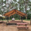 윤성전기조명 | 태안 청산리 오토캠핑장⛺️