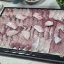 4562 | 공지] [대전 태평동]대전 방어 3대장 갓성비 방어 종결자 대전 방어 맛집 내돈내산 솔직 후기 "광어회사랑"