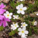 초막골생태공원 캠핑장 이미지