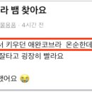 요촌1어린이공원 이미지