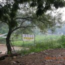 노래하는포장마차 이미지