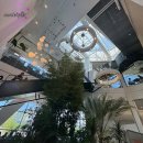 골드카페 | [동탄] 브런치 카페 골드헤겔 후기