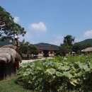 외암민속마을 이미지