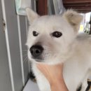 능곡파출소 이미지