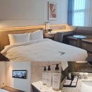 로카우스호텔 | 용산 호캉스, 나인트리 프리미어 로카우스 호텔, 스탠다드 더블룸 솔직후기