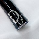 인터넷매니아 | 디올 어딕트 립스틱! 667 Diormania 디올매니아 (ft. 여름쿨뮤트 인생템)